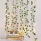 Enchanted Christmas 66 LED Battery Operated Ivy Leaf Curtain Lights